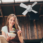 BreezeLight™ 2 en 1 Ventilador + Luz LED con Control Remoto