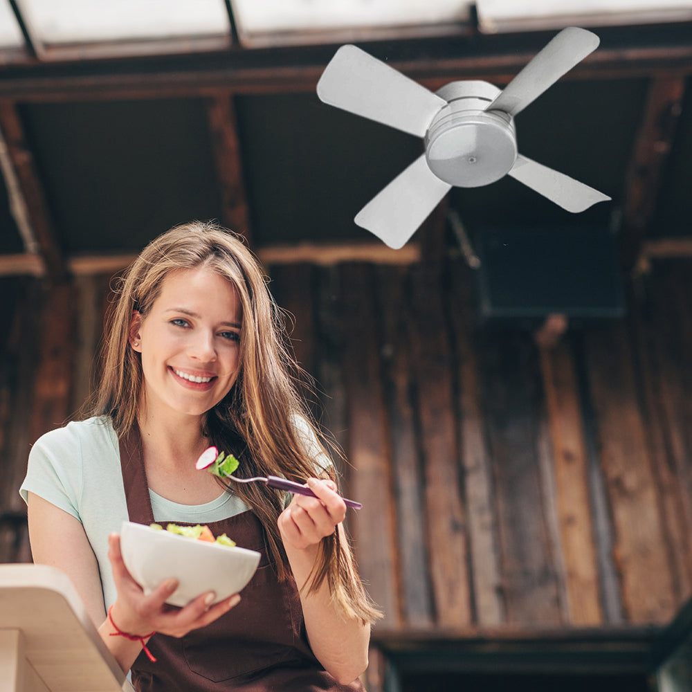 BreezeLight™ 2 en 1 Ventilador + Luz LED con Control Remoto